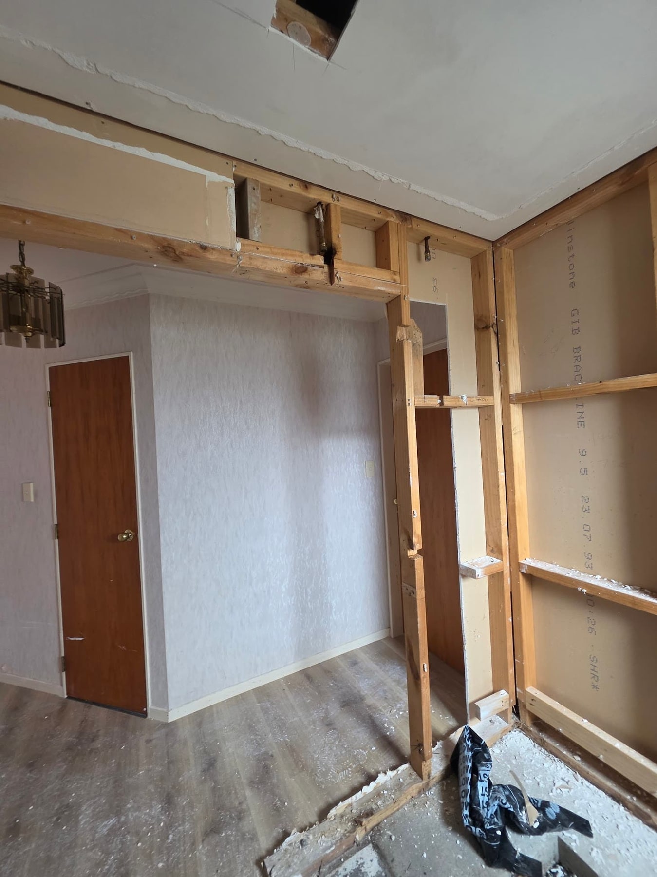 Bathroom strip-out in progress, Chapel Hill